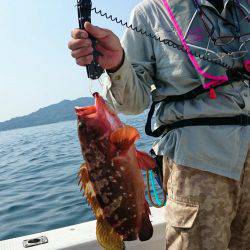 リトルワン 釣果