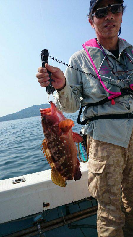 リトルワン 釣果