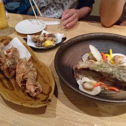 リトルワン 釣果