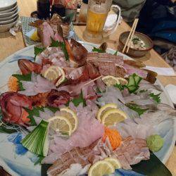 リトルワン 釣果