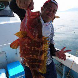 リトルワン 釣果