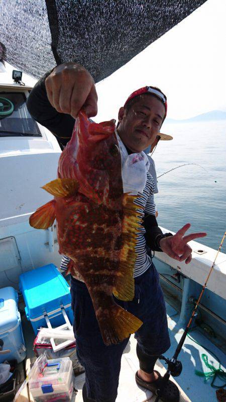 リトルワン 釣果