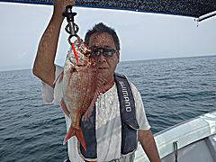 ふみ丸 釣果