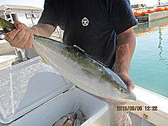 遊漁船 未紗奈 釣果