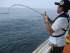 遊漁船 未紗奈 釣果