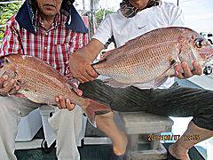 遊漁船 未紗奈 釣果