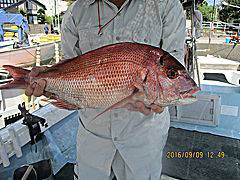 遊漁船 未紗奈 釣果