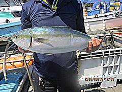 遊漁船 未紗奈 釣果