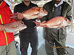 遊漁船 未紗奈 釣果