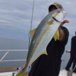 ジギング船 BLUEWATER 釣果