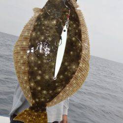 ジギング船 BLUEWATER 釣果