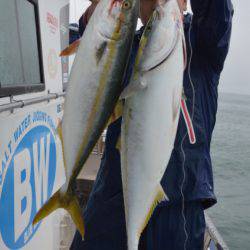 ジギング船 BLUEWATER 釣果