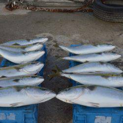 ジギング船 BLUEWATER 釣果