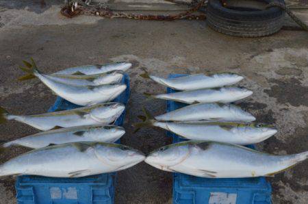 ジギング船 BLUEWATER 釣果