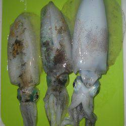 サーフ撃沈（＞＜）