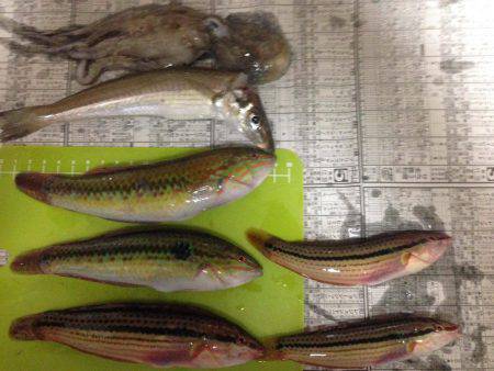 五目ちょい投げ