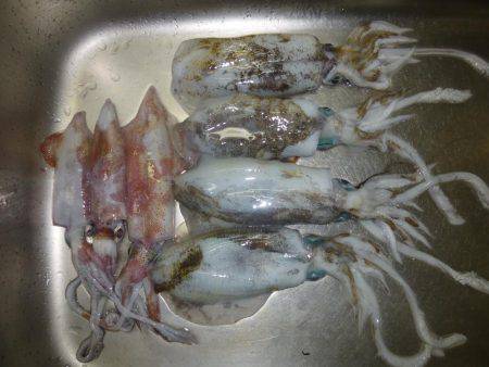 激渋からの・・・