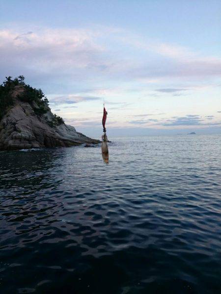 今年初のエギング釣行