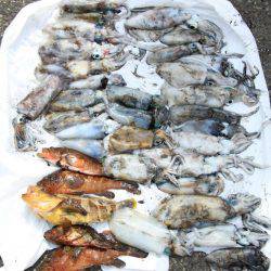 シーズン終盤？