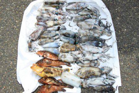 シーズン終盤？