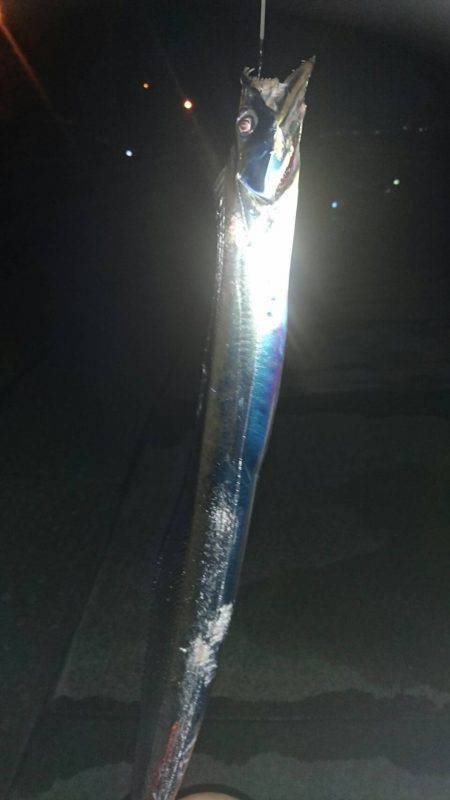 タチウオちゃん