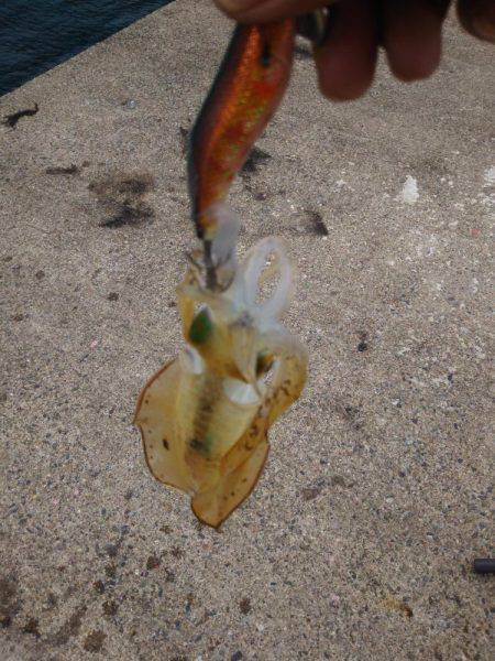 もうスレてました。