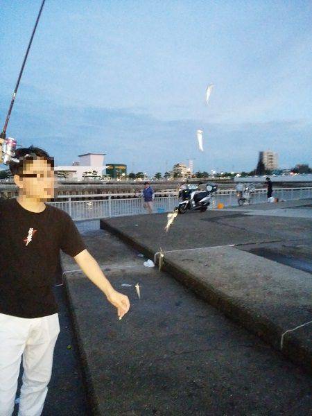 大蔵海岸でウルメイワシ&アオリイカの新子