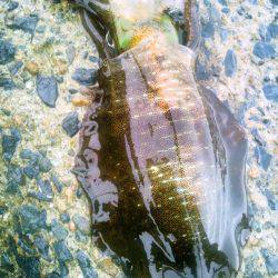 ポイントによってこんなにも･・