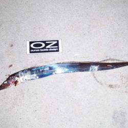 今日も渋かった！