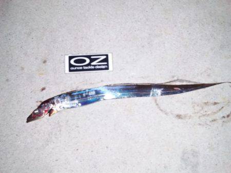 今日も渋かった！