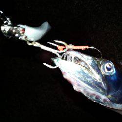 台風直後、様子見に来ました。