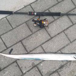 コスモスクエアにてタチウオ