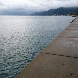 ツバスばかり！