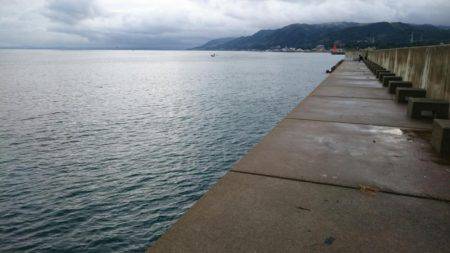 ツバスばかり！