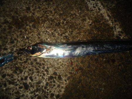 ジグよりワインドよりテンヤ