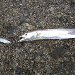 時合い逃した？