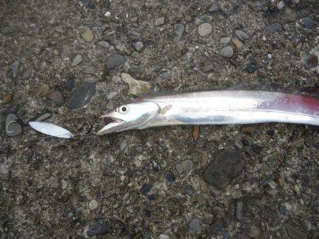 時合い逃した？