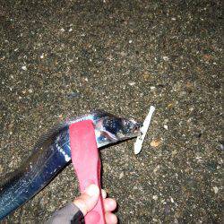 渋い中何とか1本