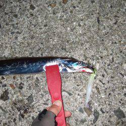 サイズはグッド