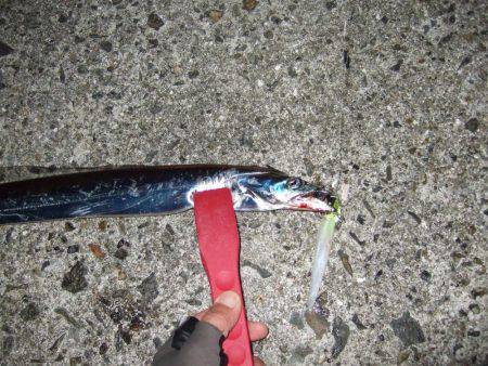 サイズはグッド