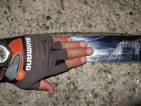 久々のF4（弱）