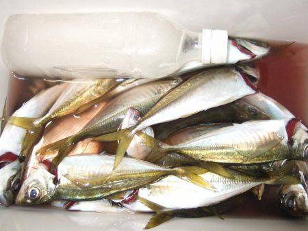 アジ釣り、突然のスコール!