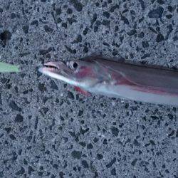 渋かった‼刀狩り