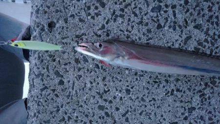 渋かった‼刀狩り