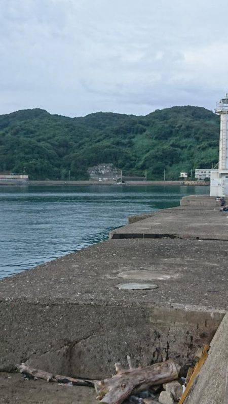 久々のエギング投稿