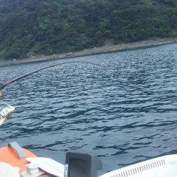 ゴムボートティップラン