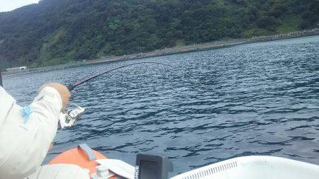 ゴムボートティップラン