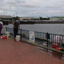 なぎさ公園でサビキ釣り