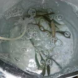 夜釣りで夜サビキとタチウオ