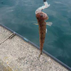 めっちゃ渋い(T-T)